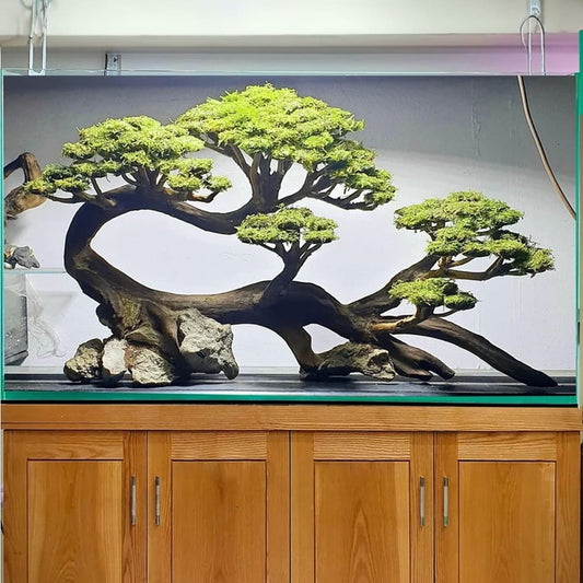 Aquarium driftwood bonsai tree aquascape hardscape drift wood decor your fish tank