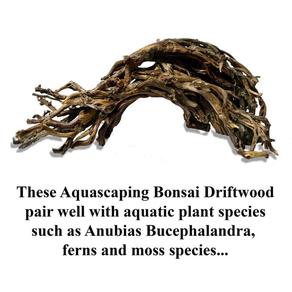Aquarium driftwood arch bonsai tree aquascape hardscape wood stump fish tank decor