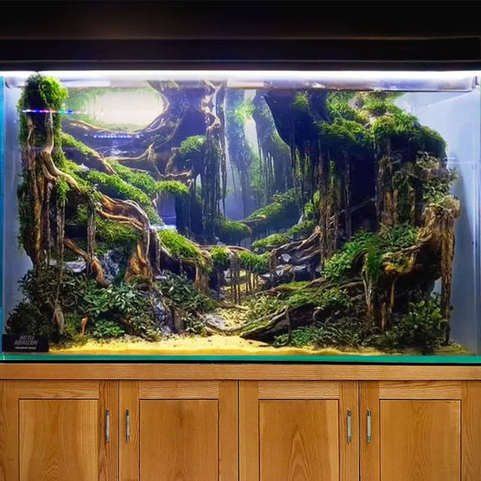 Aquarium aquascape wood cave landscape decorations