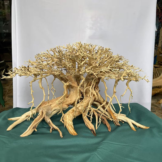 Aquarium driftwood bonsai drift wood aquascape hardscape