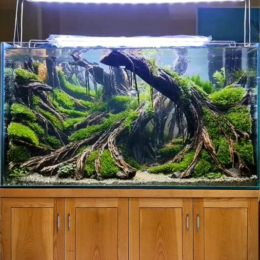 Aquarium driftwood large aquascape wood bonsai fish tank decor