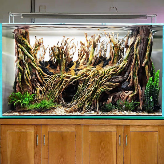 Aquarium hardscape driftwood jungle aquascape for fish tank