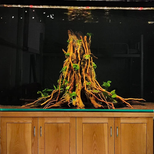 Aquarium tree stump driftwood bonsai aquascaping wood fish tank plants