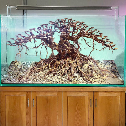 Aquarium bonsai tree driftwood aquascape hardscape plant fish tank decorations