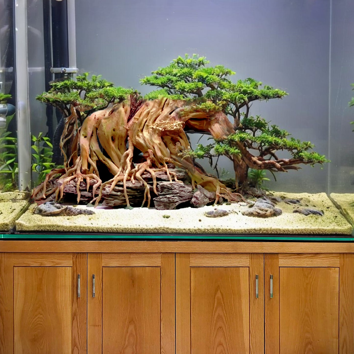 Aquarium bonsai tree driftwood hardscape tree fish tank centerpieces