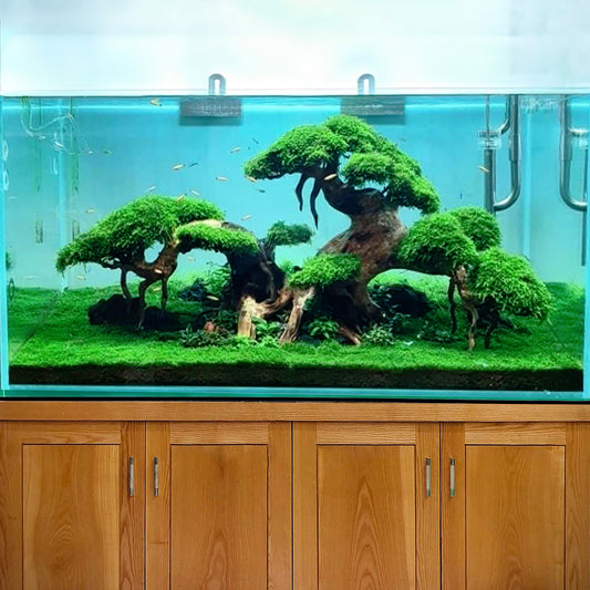 Aquarium driftwood bonsai aquascape wood fish tank decorations