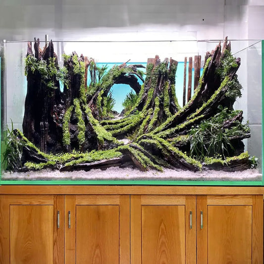 Aquascape aquarium driftwood fish tank decor