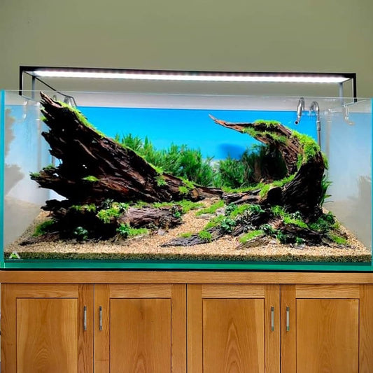 Aquascape driftwood aquarium cave hardscape drift wood fish tank decor