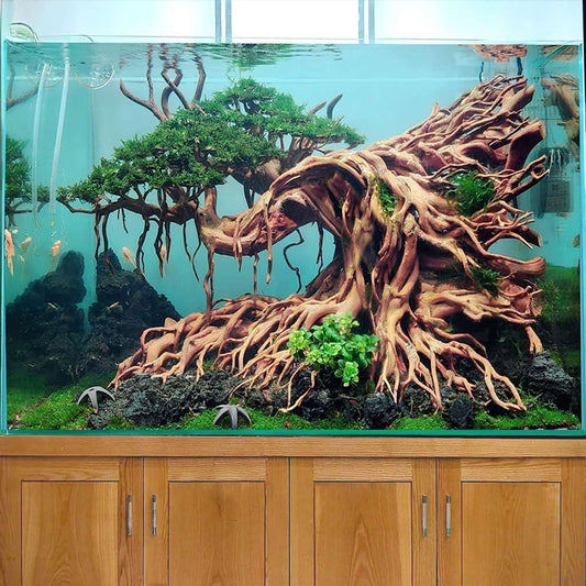 Bonsai driftwood aquarium hardscape aquascaping wood fish tank decor