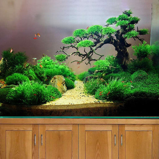 Driftwood bonsai tree aquarium aquascape plant wood fish tank decorations