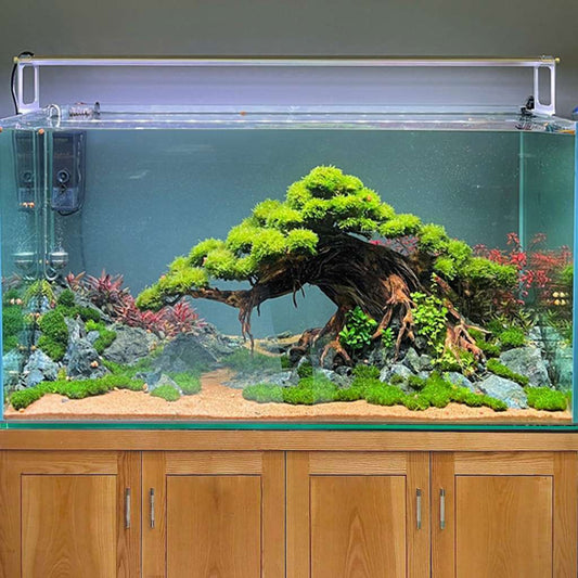 Bonsai driftwood aquarium tree plant decoration