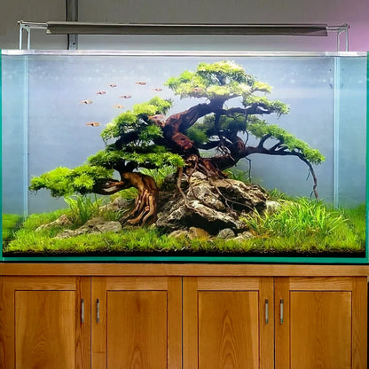 Bonsai aquarium driftwood tree aquascape hardscape wood fish tank background