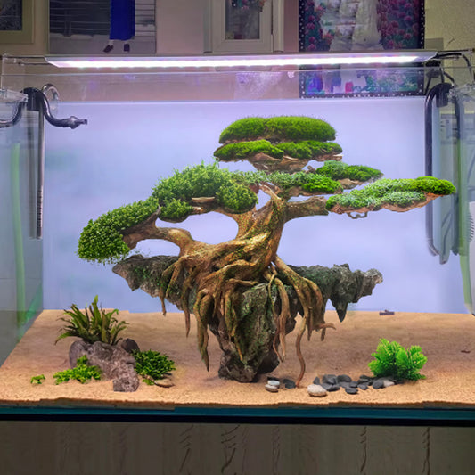 Bonsai driftwood aquarium wood hardscape fish tank decorations
