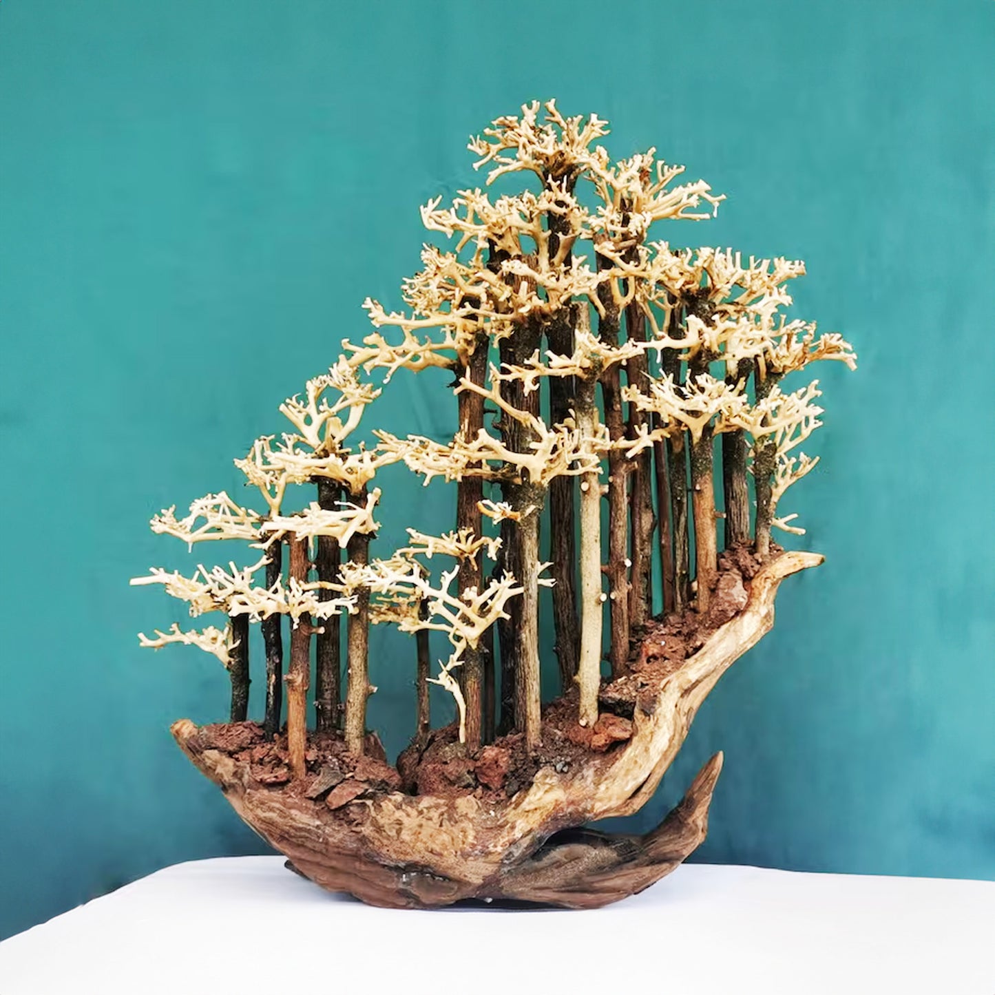 Bonsai driftwood on boat decorations art for coffee table