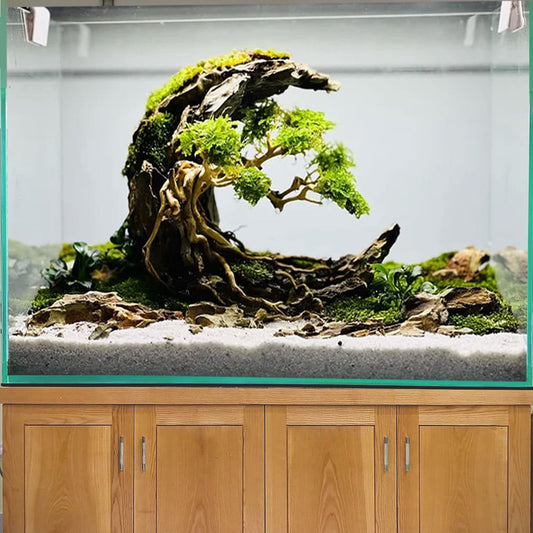 Drift wood aquarium bonsai aquascape wood landscape fish tank decor