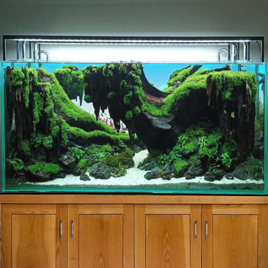 Driftwood aquarium wood aquascape hardscape layout fish tank decorations