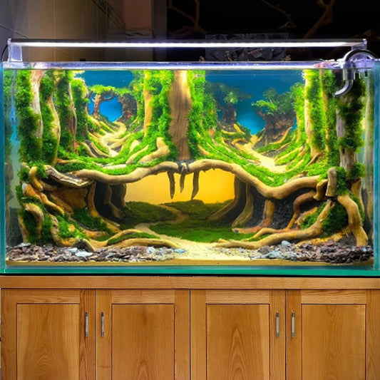 Driftwood aquarium hideout cave aquascape hardscape decor fish tank background