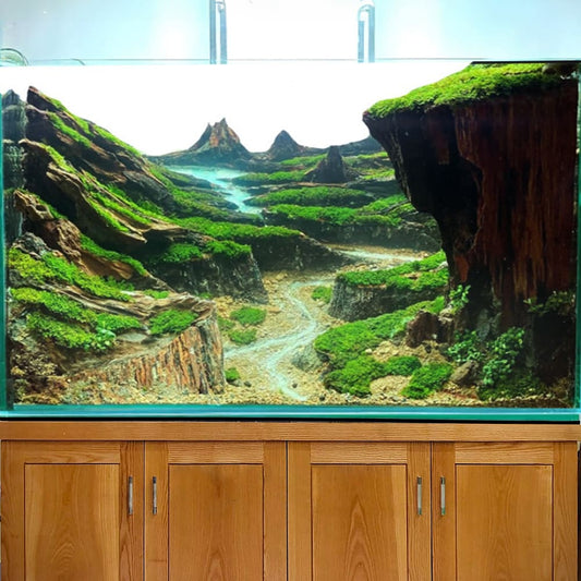 Driftwood aquarium large centerpiece hardscape landscape aquascaping