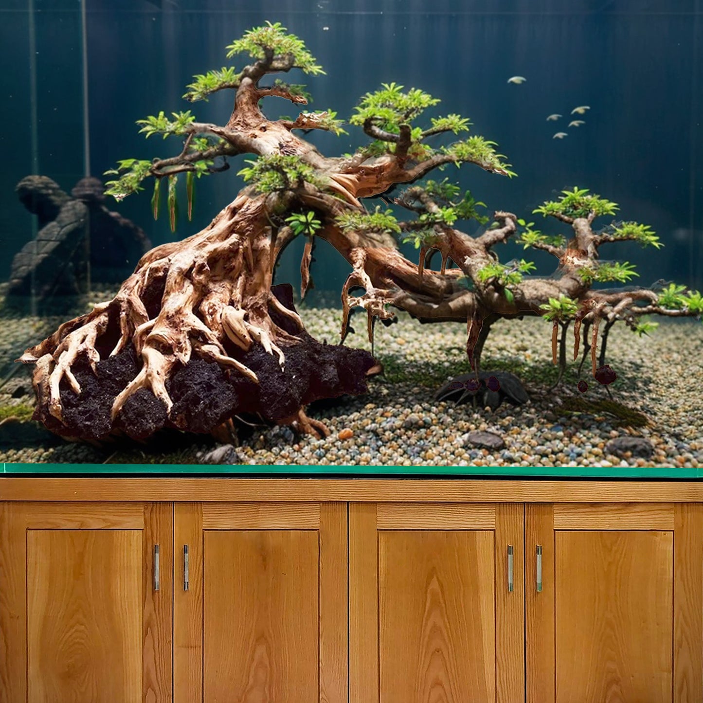 Driftwood aquarium bonsai tree aquascape wood decor fish tank background