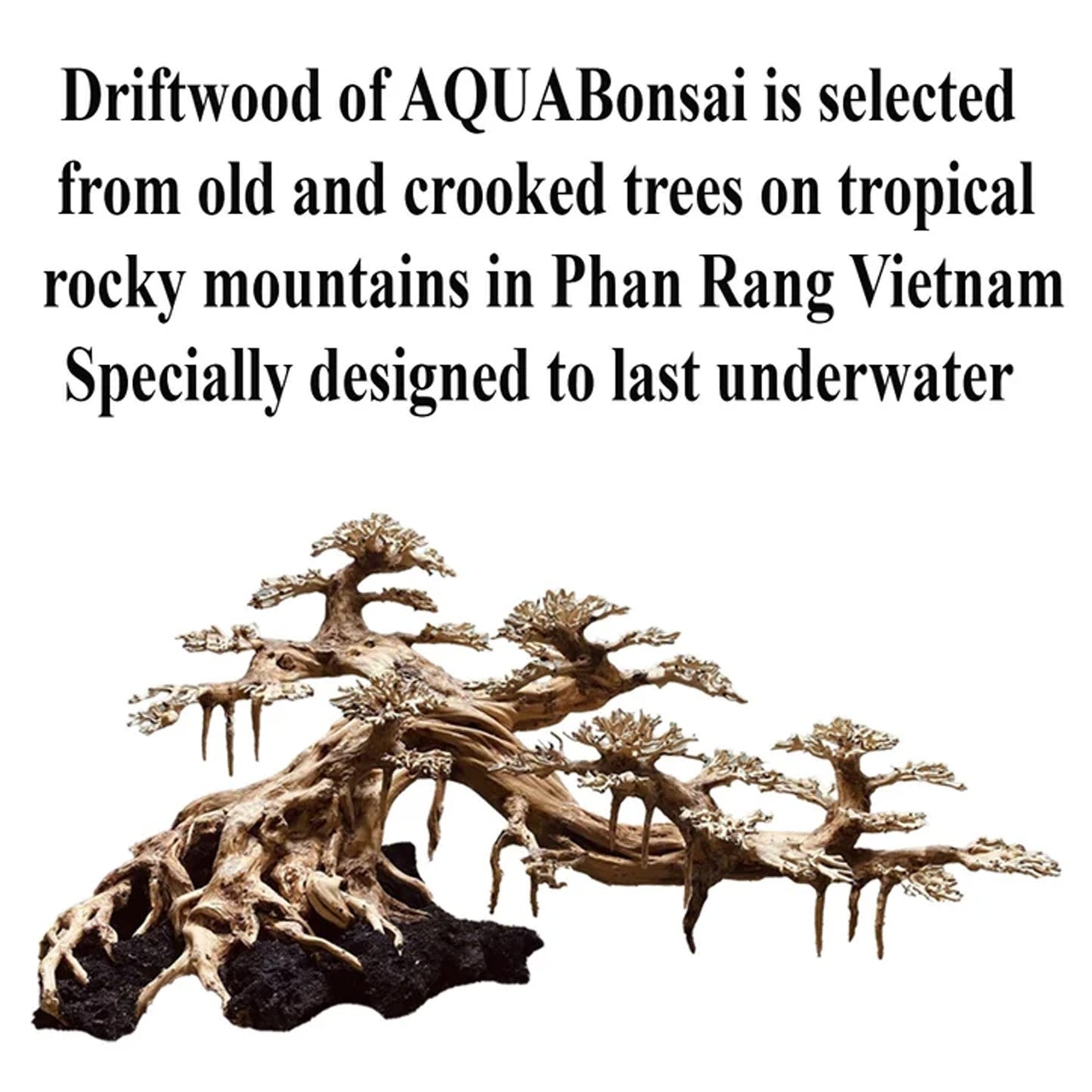 Driftwood aquarium bonsai tree aquascape wood decor fish tank background