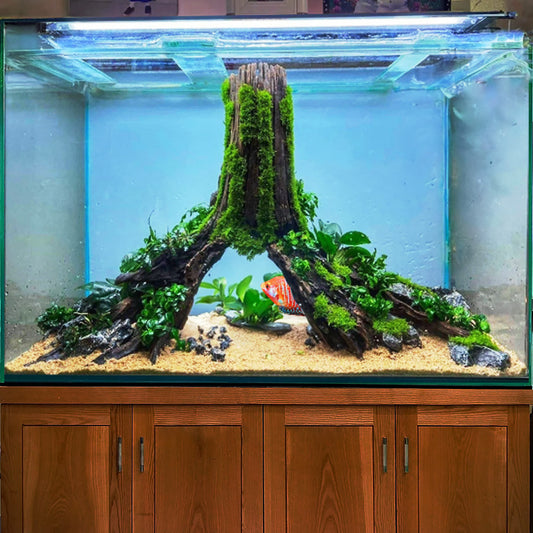 Driftwood aquarium tree hideout stump fish tank decoration