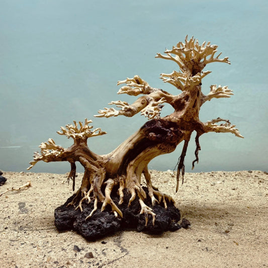 Driftwood bonsai aquarium wood black lava rocks aquascaping decorations