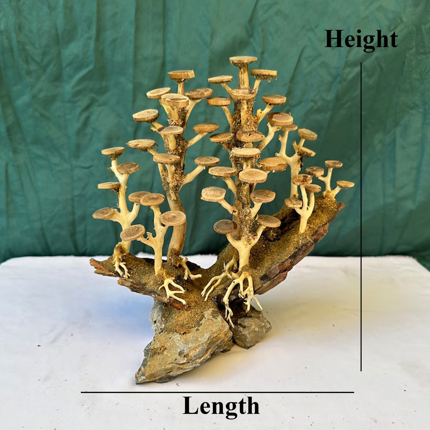 Driftwood bonsai tree aquarium decor landscape ideas
