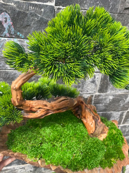 Driftwood preserved bonsai wood pot handmade fake plants decor living room