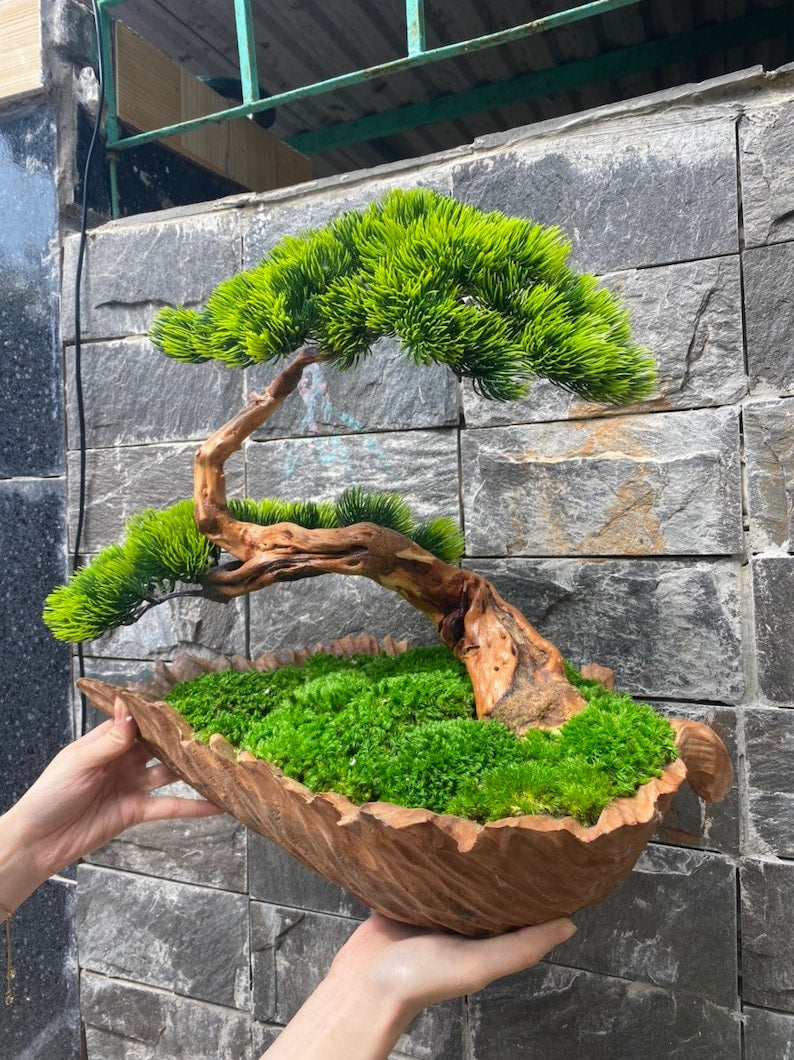 Driftwood preserved bonsai wood pot handmade fake plants decor living room