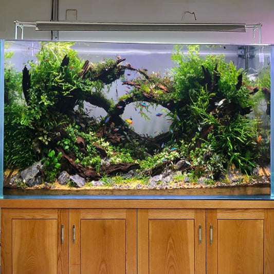 Large aquascape decoration centerpiece hardscape aquarium plants