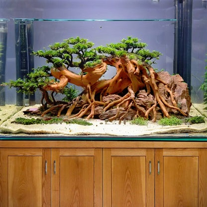 Large driftwood bonsai aquarium aquascape hardscape rocks hideout