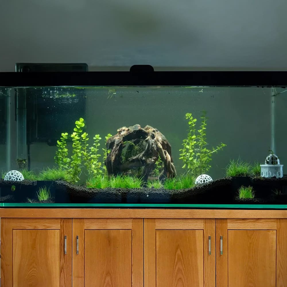 Natural driftwood round ball aquarium hideout aquascape landscape plants fish tank