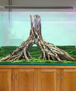 Aquarium driftwood bonsai aquascape hardscape wood aquascaping cave fish tank plants