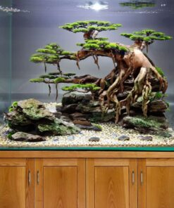 Aquarium bonsai on rock mountain aquascape fish tank decoration