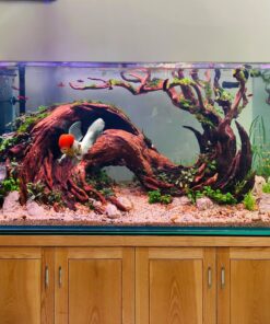 Aquarium driftwood art arch aquascape hardscape fish tank decoration
