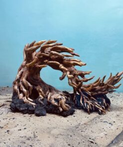 Aquarium driftwood bonsai aquascape hardscape plants fish tank decoration