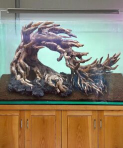 Aquarium driftwood bonsai aquascape hardscape plants fish tank decoration