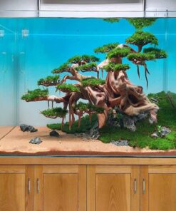 Aquarium driftwood bonsai tree aquascape fish tank decoration