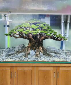 Aquarium driftwood bonsai tree aquascape plants for fish tank decorations