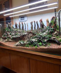 Aquarium driftwood extra large aquascape rocks bonsai deadwood fish tank plants