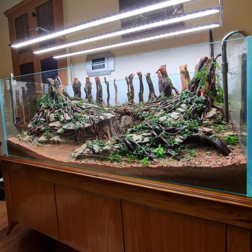 Aquarium driftwood extra large aquascape rocks bonsai deadwood fish tank plants
