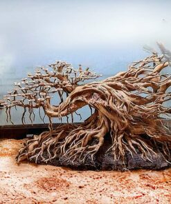 Bonsai driftwood aquarium hardscape aquascaping wood fish tank decor