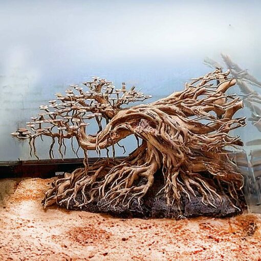 Bonsai driftwood aquarium hardscape aquascaping wood fish tank decor