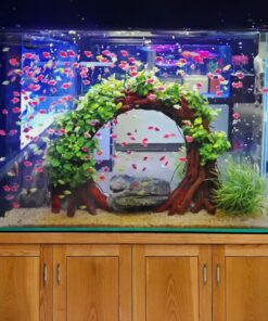 Aquarium driftwood ring arch cave art fish tank decorations