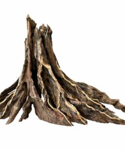 Aquarium driftwood stump wood fish tank plants