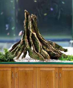 Aquarium driftwood stump wood fish tank plants