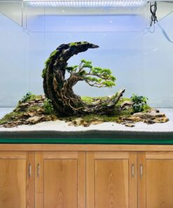 Aquarium moon dragon rock aquascaping stone fish tank decorations