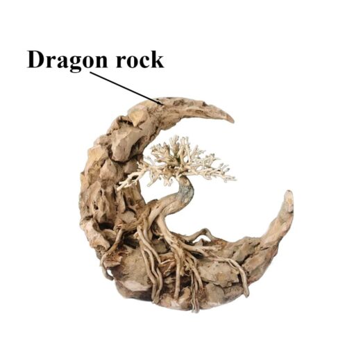 Aquarium moon dragon rock aquascaping stone fish tank decorations