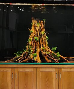 Aquarium tree stump driftwood bonsai aquascaping wood fish tank plants