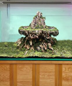 Aquarium dragon stone volcano dragon rock aquascape fish tank decorations